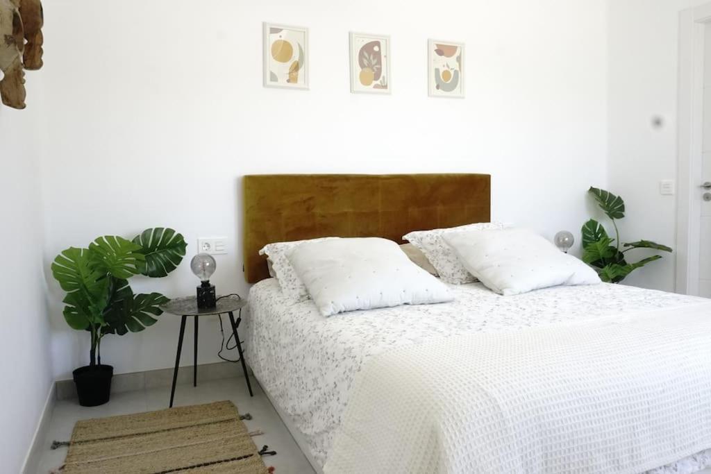 Calma House Apartment กอสตา เตกีสเซ ภายนอก รูปภาพ